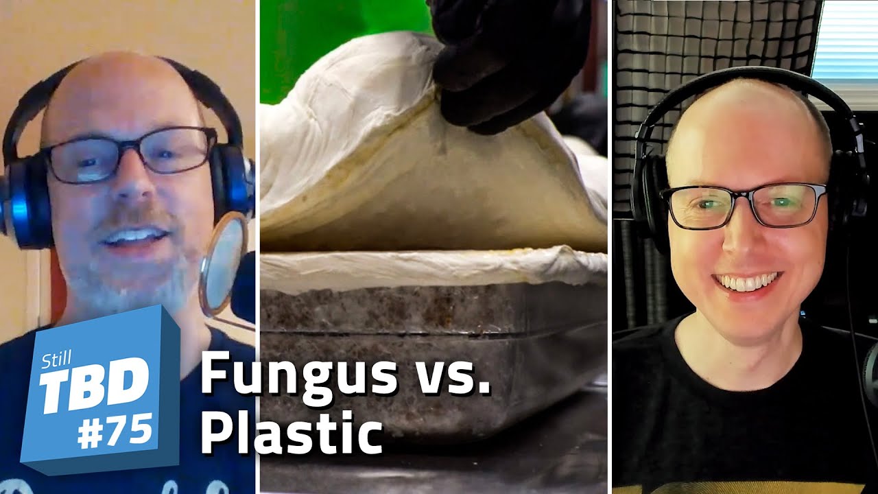 Thumbnail for 75: Mold (Mould) Molds (Moulds) – Talking about Mycelium as a plastic replacement