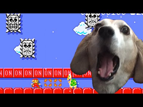 Super Mario Maker 2 🔧 Walking the Doge 🔧 TipsMagee