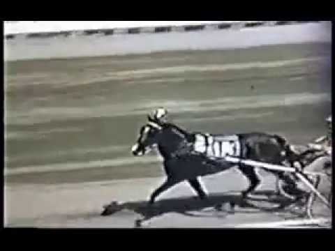 1955 Good Time Park SCOTT FROST Hambletonian Final Joe O'Brien