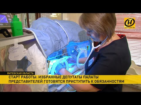 Выборы-2019: новые депутаты уже готовят важные инициативы для рассмотрения в парламенте