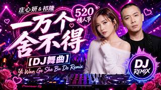 Download lagu 庄心妍 & 祁隆 - 一万个舍不得dj 【520情人节❤️】✈️ Yi Wan Ge She Bu De Remix mp3