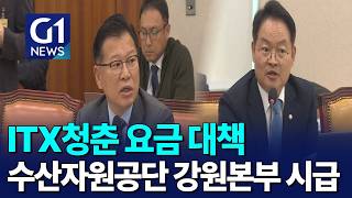 [G1뉴스]ITX청춘 요금 대책..수산공단 강원본부 시급