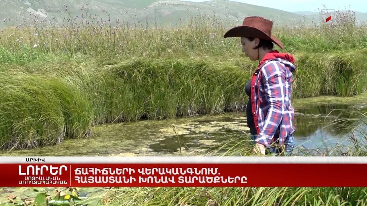 Ճահիճների վերականգնում. Հայաստանի խոնավ տարածքները