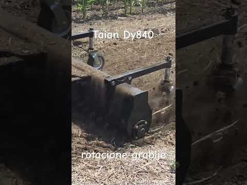 https://www.youtube.com/embed/X_D9yRa8kmM