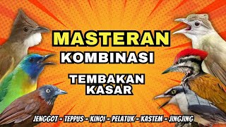 Download lagu Masteran Kombinasi Tembakan Kasar Untuk Semua Burung Murai Batu Cucak Ijo mp3