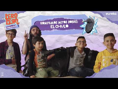 Lero, lero, animalero capítulo 1 - Todo lo que no sabemos sobre el chulo, un animal del que se dicen muchas cosas pero del que sabemos realmente poco.