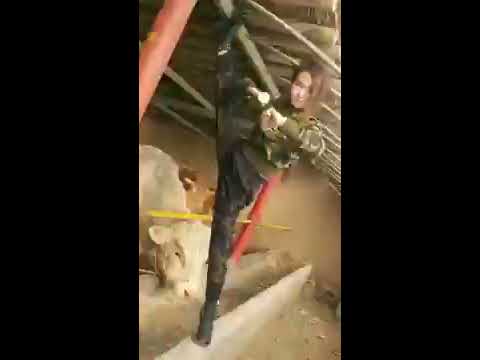 Kung Fu Girl - Amazing training 3