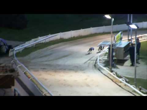 2017 WILLIAM HILL CLASSIC = HEAT 5 - T2 AMELIAS CHARM