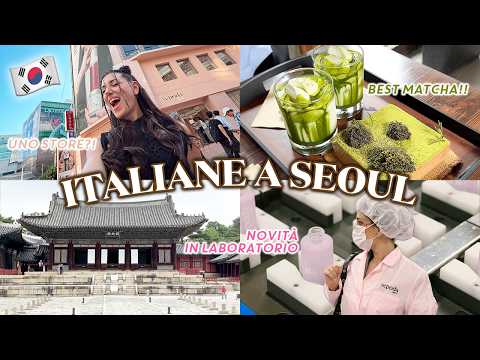 TORNO IN COREA DOPO 4 ANNI!! 🇰🇷 Seoul Weekly Vlog