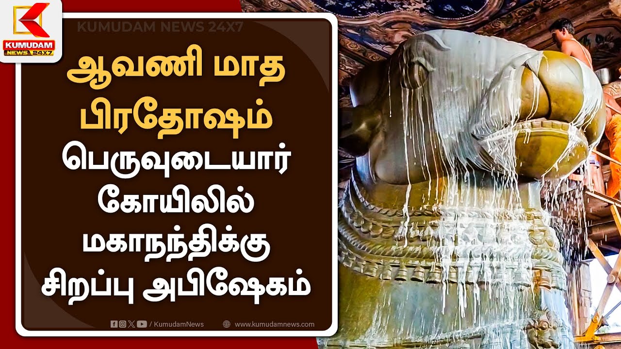 ஆவணி மாத பிரதோஷம் - பெருவுடையார் கோயிலில் மகாநந்திக்கு சிறப்பு அபிஷேகம்