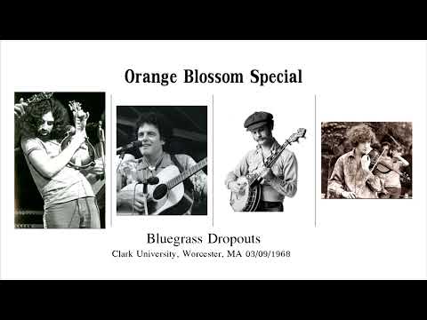 Orange Blossom Special - Bluegrass Dropouts