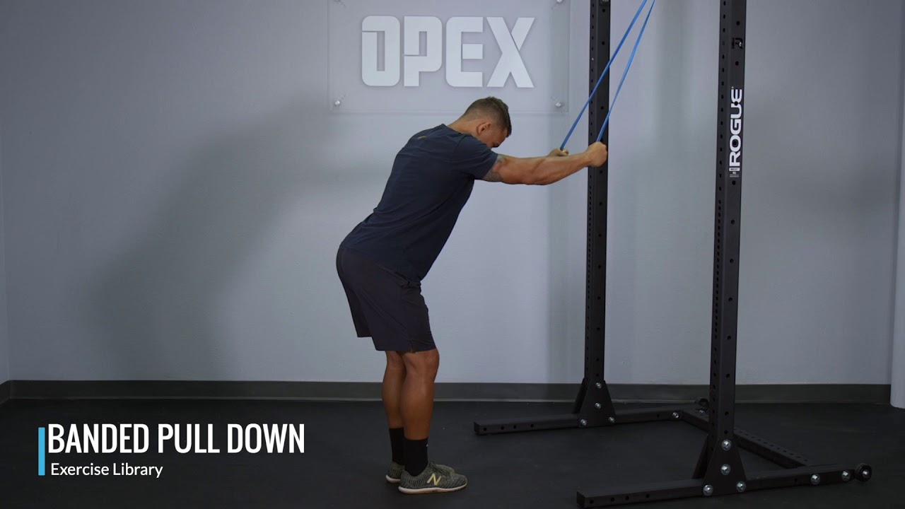 Banded Pulldown - OPEX Exercise Library - YouTube