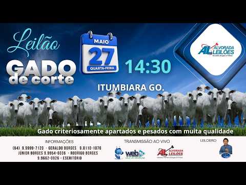 LEILÃO GADO DE CORTE ALVORADA LEILÕES  DIA 27 DE MAIO-QUARTA-FEIRA 14:30h ITUMBIARA GOIÁS