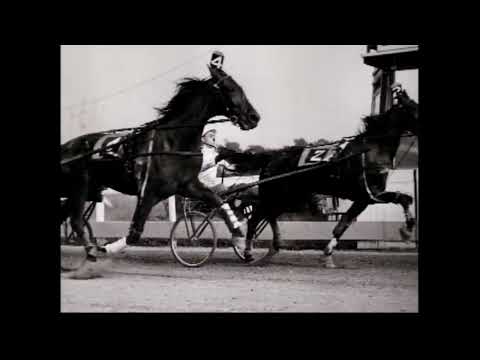 CHRHF 2013 Inductee - Celias Counsel