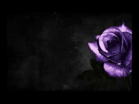 Stenkata ft  Eipril - Otnovo kum teb