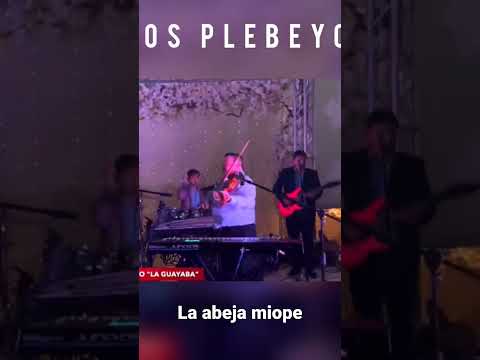 la abeja miope los plebeyos