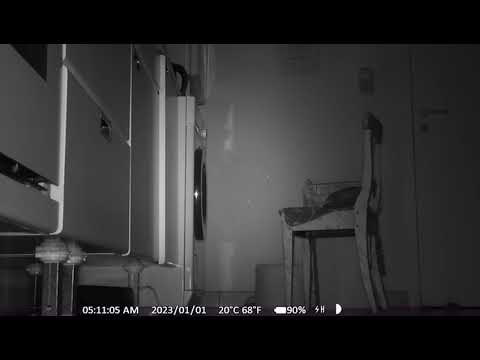 SafeHome Schädlingsbekämpfung Köln YouTube-Vdeominiatur 15