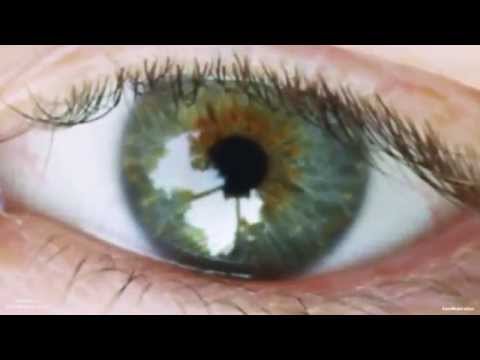 AnimoEx - Don't think too much