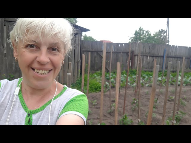 Youtube Video Youtube Video