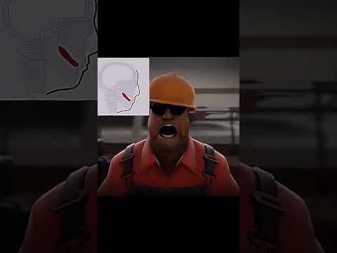 Mewing team fortress 2 #baybay #edit #teamfortress2