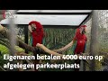 Papegaai Coco weer thuis bij vriendinnetje Kiki | RTV Utrecht