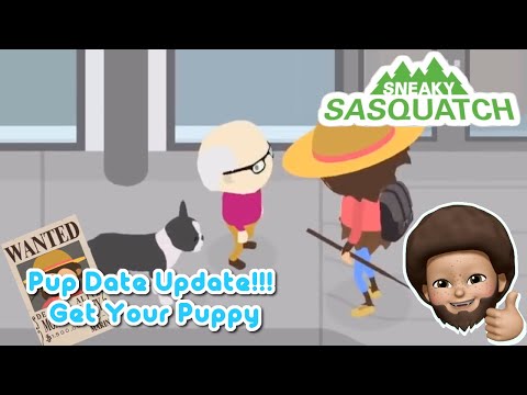 Sneaky Sasquatch News - New Pup Update | Lost Dog, Valet Service and Custom Outfits