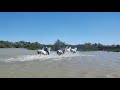 Reitferien In Der Camargue Mit Den Pferdis Vom Mas Du Sapin Camargue Ch