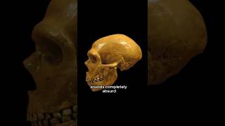 HUMANS BEFORE ADAM #bible #gardenofeden