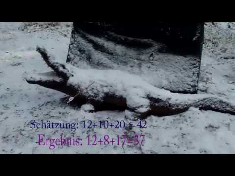 Entfernungen Schätzen beim intuitiven Bogenschießen - Teil 2