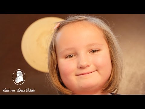 Carl-von-Linné-Schule für Körperbehinderte - Berlin  Image Video