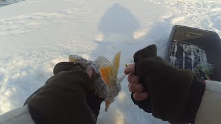 Зимняя рыбалка в березово кемерово