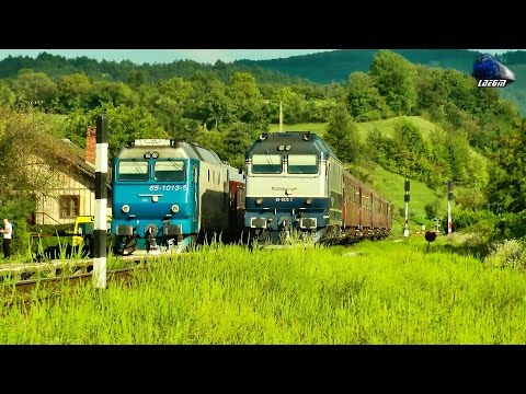 Trenuri in Bratca - Trains in Bratca - 31 August 2014