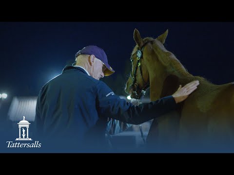 Tattersalls October Yearling Sale Book 2 2021 Day 3 Review