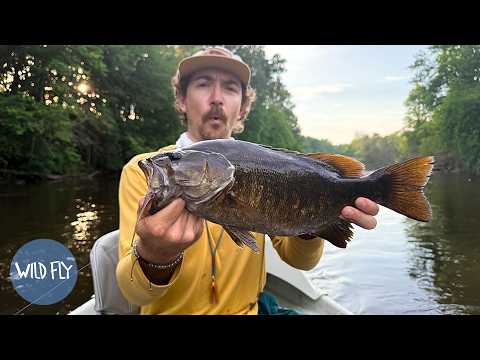 GIANT Smallmouth on Swim Flies in Michigan