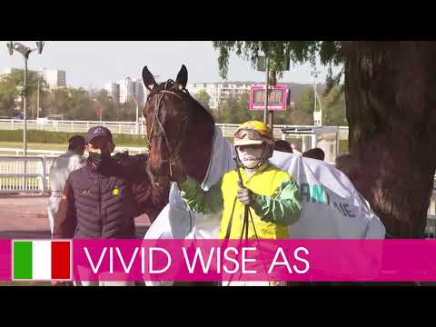 Välkommen till Elitloppet 2021 - Vivid Wise As!