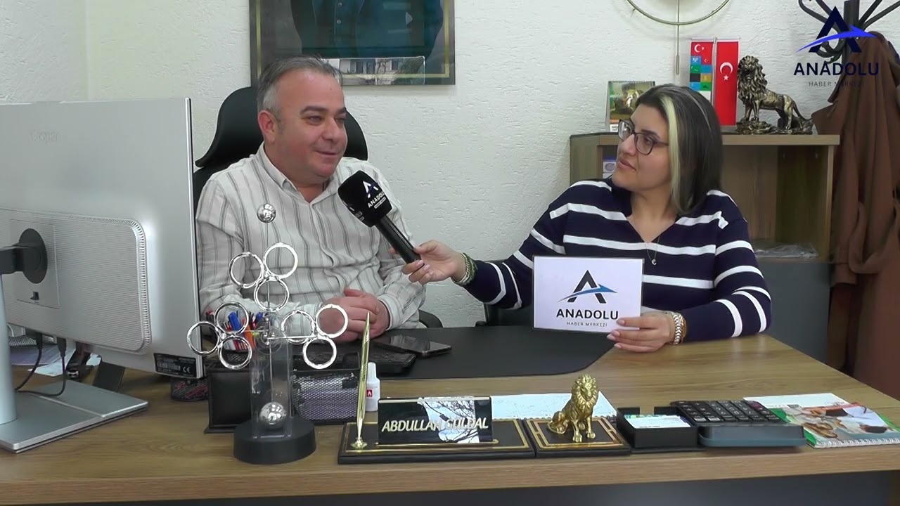 Livist Sigorta Acenteliği