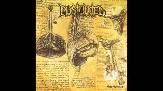 Pustulated - Haematoma (2005) [Full Album] Goregiastic Records