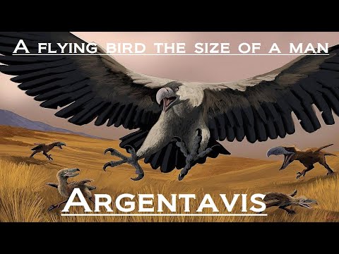 Prehistoric Breakdown: Argentavis