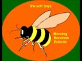 the soft boys ~ Morning Becomes Eclectic ~