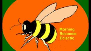 the soft boys ~ Morning Becomes Eclectic ~