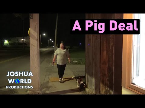 A Pig Deal