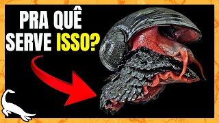 O MISTERIOSO ANIMAL com ARMADURA de FERRO!