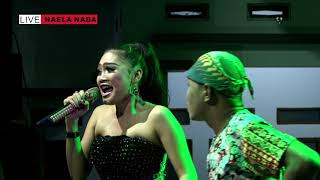 Download lagu Wakoplak Sama WAndi lg Rebutan Kiriman - Melek Wadon - Desi Paraswati - NAELA NADA Live Gebang Kulon mp3