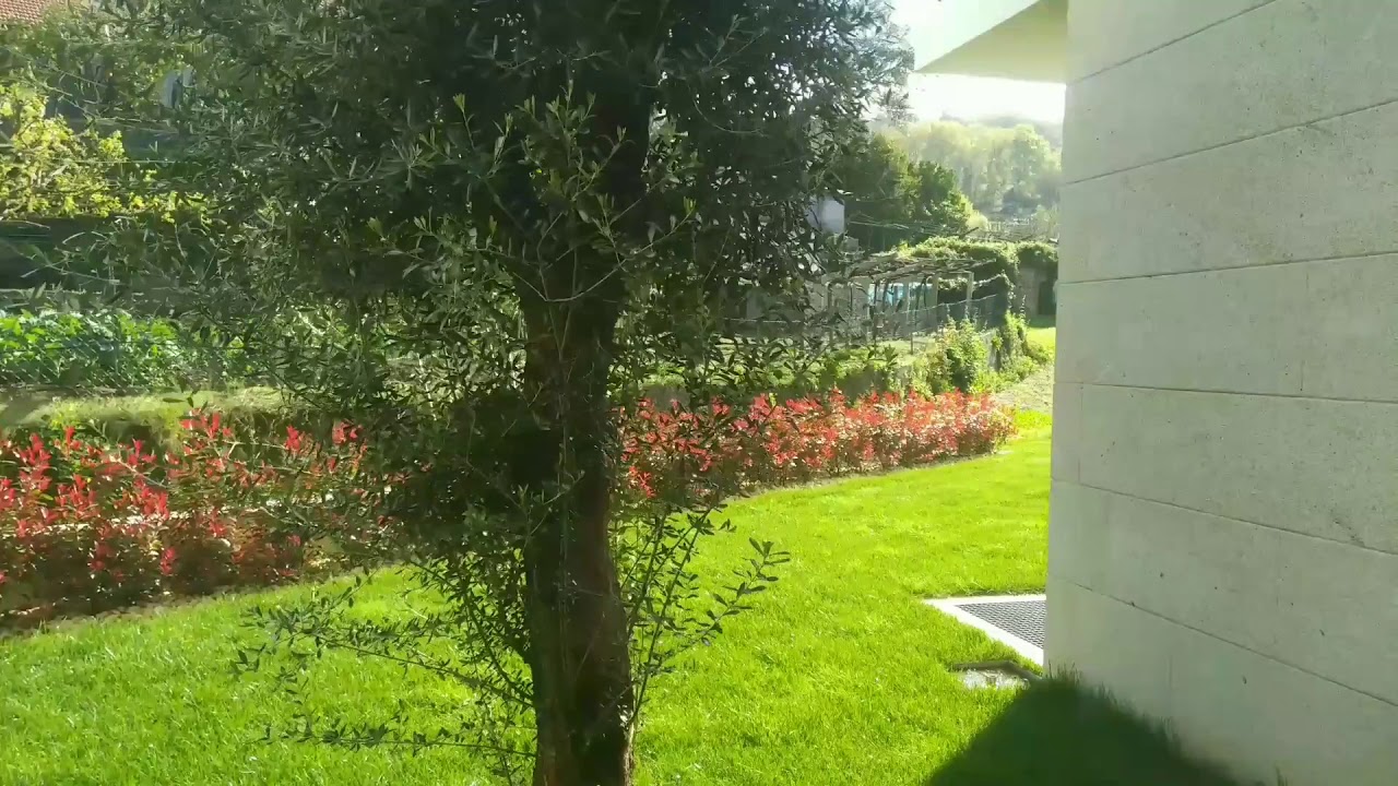 confirme HOJE MESMO ! thumbnail