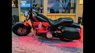 Pepper - B.O.O.T | Ashes | Stone Love | Motovlog in Orlando | Harley Davidson