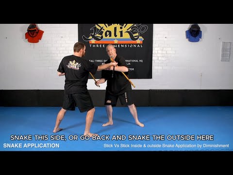 Stick Disarming: Principles, Applications, Demonstration