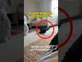 GHOST Tries To TAKE Her Cat