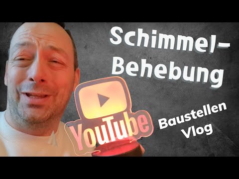 Erklärbär Pitter - Schimmelbehebung im Eingangsbereich