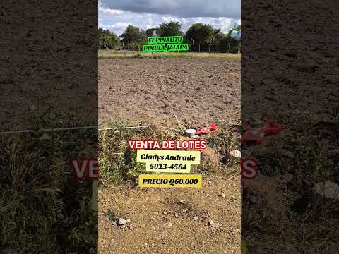 venta de lotes  PINALITO JALAPA #extranjeros #bienesraices #realestate #invierteenbienesraices #USA