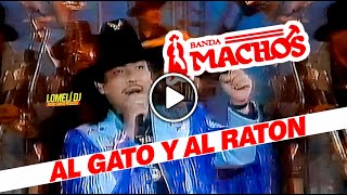 1994 - AL GATO Y AL RATON - Banda Machos con Raul 
